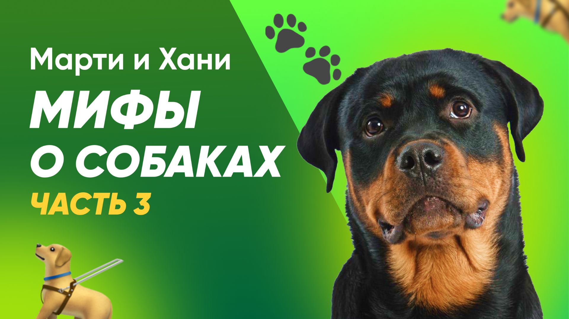 МИФЫ О СОБАКАХ / ЧАСТЬ 3 / КИНОЛОГ СДЕЛАЕТ СОБАКУ ПОСЛУШНОЙ? / ТРАВА ЧИСТИТ ЖЕЛУДОК? смотреть онлайн
