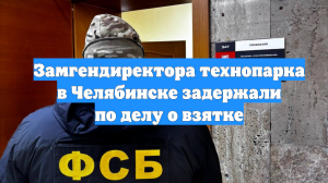 Замгендиректора технопарка в Челябинске задержали по делу о взятке