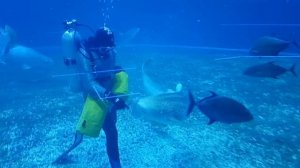 Владивосток#ОкеанариумПриморский#моясемья##Пермскийкрай#