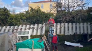 50) На зиму в Абхазию-4. Обрезка винограда с видом на море и горы и танцами