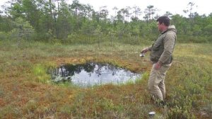 Наловил много рыбы из лужы! Вот это жор! Повезло!