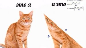 Большое Сообщение, 1 минута