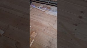 1000046651.mp4 (Собака наблюдает за устройством лестницы на 2 этаж в доме А-фрейм)