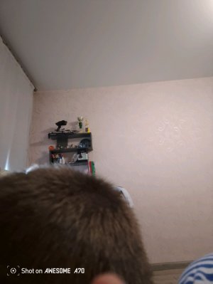 я покажу лицо на 1000 подписчиков