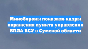 Минобороны показало кадры поражения пункта управления БПЛА ВСУ в Сумской области