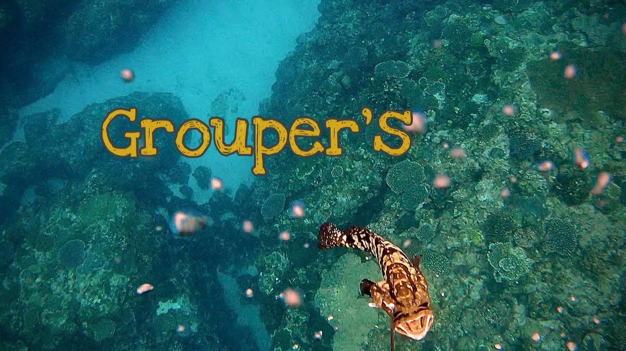 Подводная охота / Мы поймали много окуней. смотреть онлайн