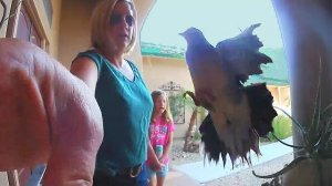 Самые лучшие неудачные кадры с камер видеонаблюдения за всю историю! 😆