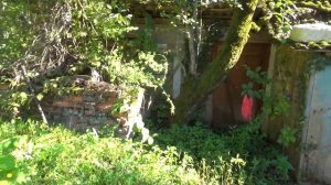 Настя помогает другу найти его друзей