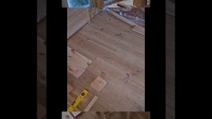 1000046683.mp4 (Собака наблюдает за устройством лестницы на 2 этаж в доме А-фрейм)