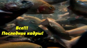 Все! Последние кадры!