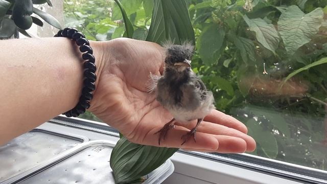 Небольшой кусочек лета 2024 смотреть онлайн