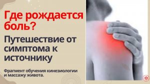 Где рождается боль? Путешествие от симптома к источнику. Фрагмент обучения