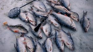 Рыбалка на безмотылку в глухозимье