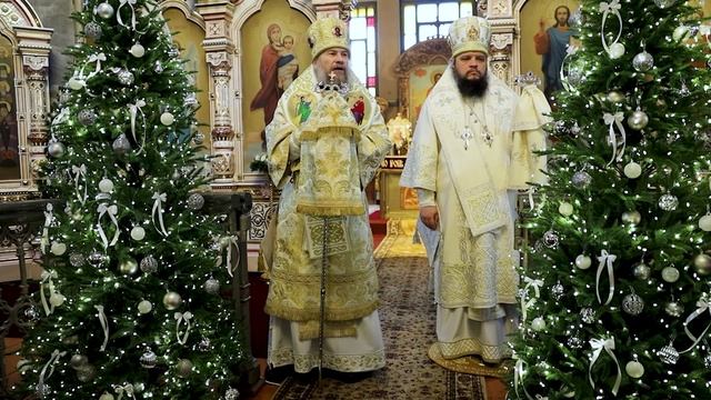 Проповедь митрополита Леонтия в храме в честь Рождества Христова пгт Анна смотреть онлайн