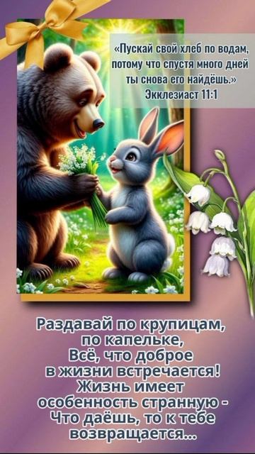 YouCut_20260121_145556350.mp4 смотреть онлайн