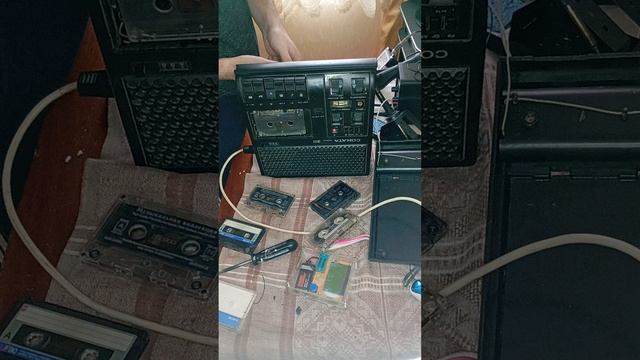 1000007088.mp4 смотреть онлайн