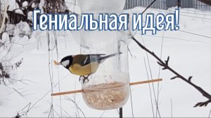 Почему я Раньше до этого не додумался, Как сделать Кормушку для птиц за 3 минуты!