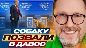 ШАРИ.СОБАКУ ЗЕ ПОЗВАЛИ В ДАВОС.