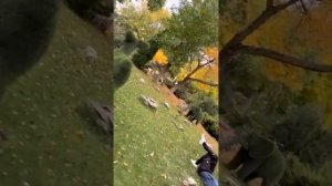 ТАКАЯ НЕЖНОСТЬ! Люся и Ангелина так любят Влада!