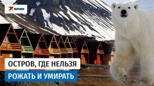 Нельзя родить, нельзя умереть: законы выживания на Шпицбергене