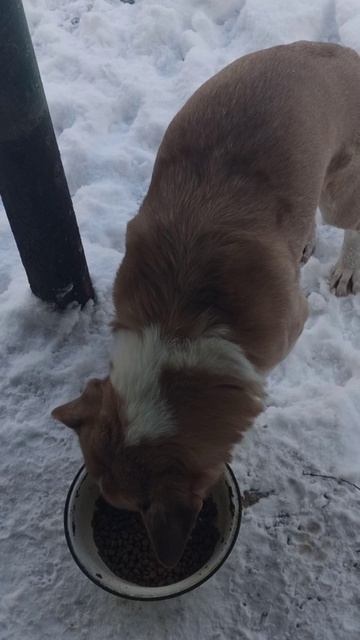 Утро 16 января 2026 г. смотреть онлайн