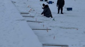 Поимки форели !!!