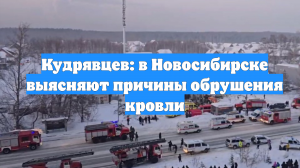Кудрявцев: в Новосибирске выясняют причины обрушения кровли