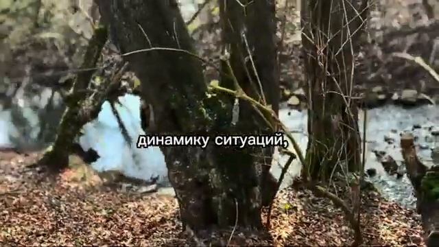 Водолей Этот февраль расставит всё по своим местам смотреть онлайн