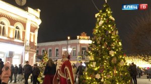Ёлочка из Ельца заняла почётное второе место среди зелёных  красавиц области