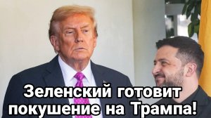 ТАМИР ШЕЙХ / ЗЕЛЕНСКИЙ ГОТОВИТ ПОКУШЕНИЕ НА ТРАМПА. новости сводки