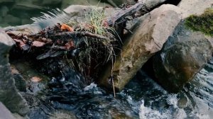 Малая лаба Инста