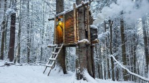 Строю хижину на дереве, на возвышении в плохую погоду, защищенную от хищников и снега. Бушкрафт