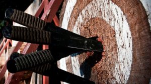 МЕТАНИЕ НОЖА РАЗДЕЛЬНАЯ МИШЕНЬ.