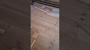 1000046650.mp4 (Собака наблюдает за устройством лестницы на 2 этаж в доме А-фрейм)