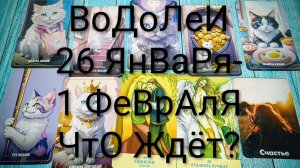 #ВОДОЛЕИ ТАРО НЕДЕЛЬКА 26 ЯНВАРЯ-1 ФЕВРАЛЯ 🌲#ГаданиеНаБудущее #ТароПрогноз #ТароГадание #ТароНеделя