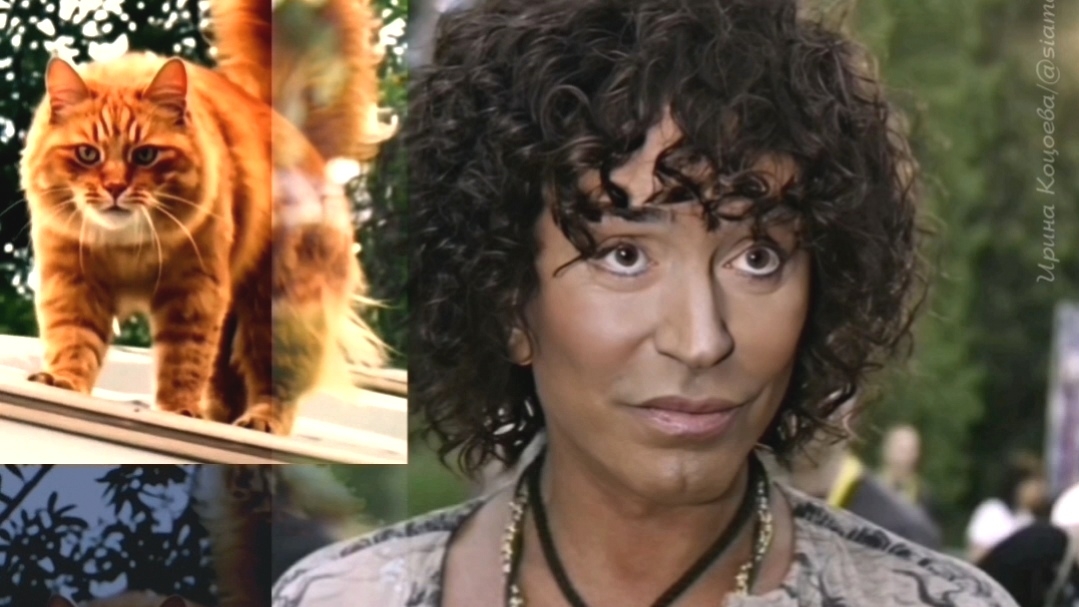 Валерий Леонтьев. Рыжий кот. Видеозарисовка.