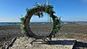 ✅️🌴21 ЯНВАРЯ В СИРИУСЕ: +6°, ПОГОДА СКАЗКА, САМАЯ ПУШИСТАЯ МИМОЗА,ОТ МОРПОРТА К ПЛЯЖУ СОЧИФОРНИЯ