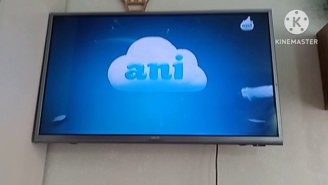 Начало эфира телеканала Ани (21.01.2026) смотреть онлайн