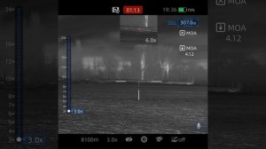 Ночные выстрелы по хищникам