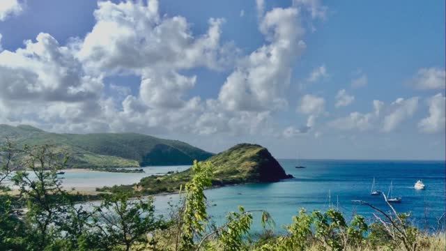 290. Сент-Киттс и Невис