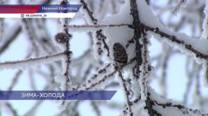 Морозы до минус 33 градусов идут в Нижегородскую область