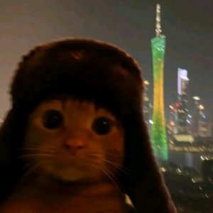 играю нулс бравл