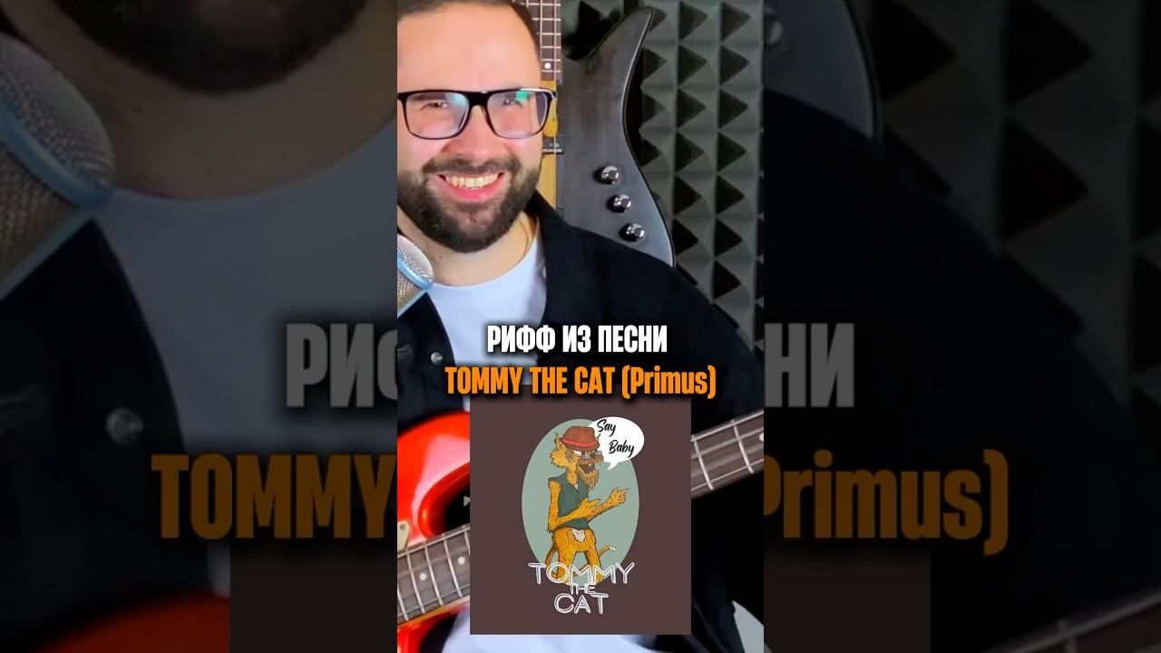 Рифф из песни Tommy the Cat (Primus) смотреть онлайн