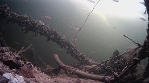 1000008155.mp4Волга гл.2м.21.01.2026г.