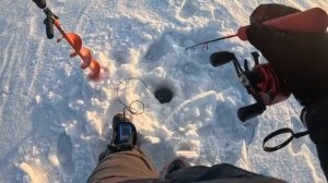 Рыбалка на Обском водохранилище