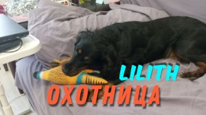 Удачной охоты тебе Лилечка 😊