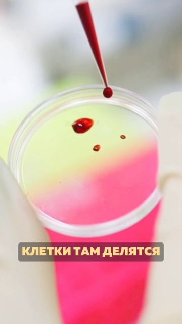 ЧТО ТАКОЕ ДРУГИЕ МИРЫ? смотреть онлайн