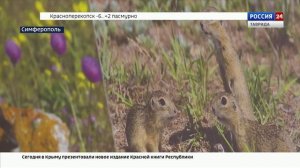 В Симферополе презентовали новое издание крымской Красной книги