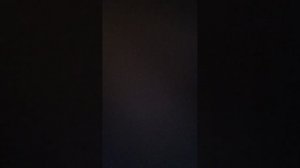 Я и сестра и брат