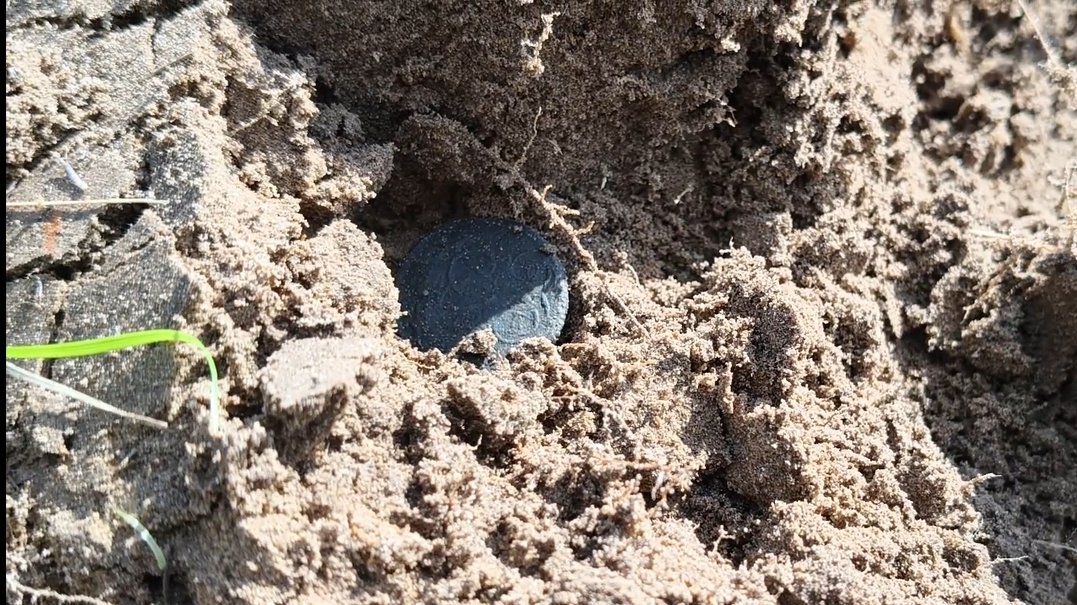 Полушка Елизаветы. Перезалив #поискмонет #монеты #equinox900 #equinox #minelab #металлоискатель #20 смотреть онлайн